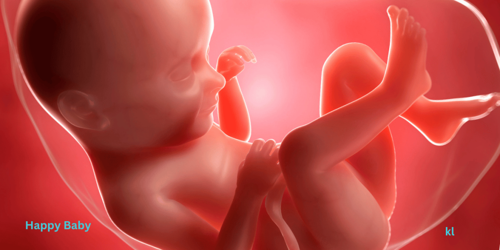 Happy baby
Fetal development: Conception to delivery