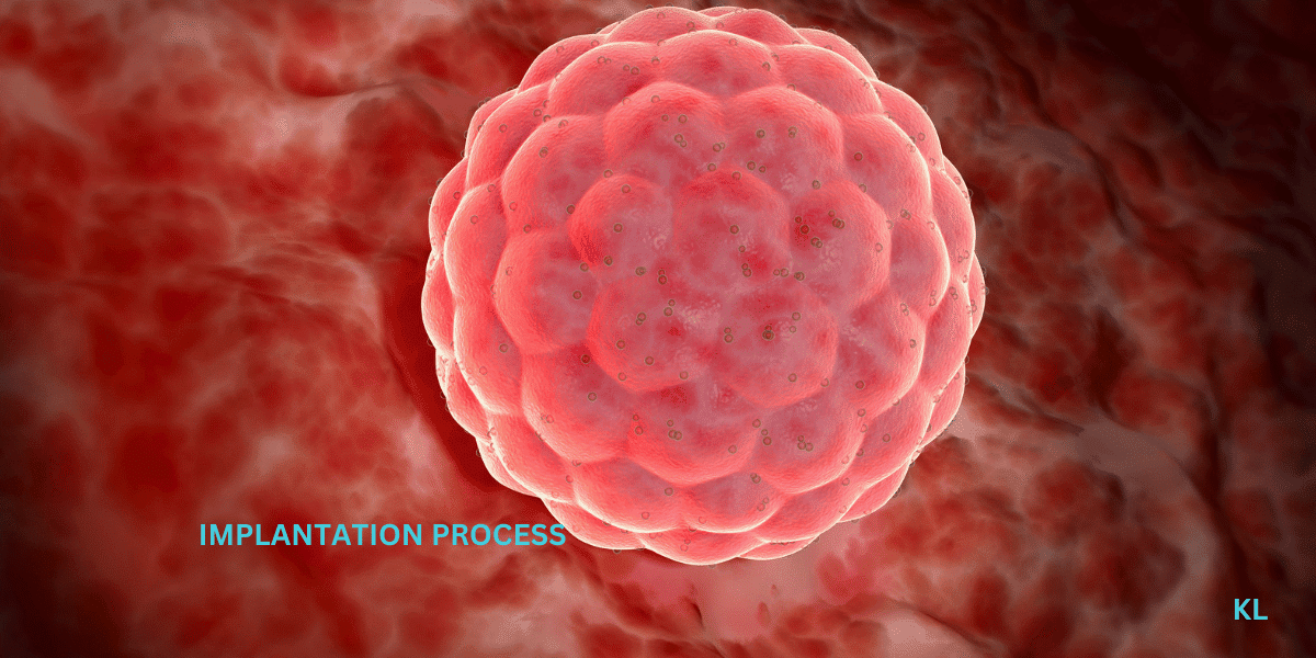 Implantation Process