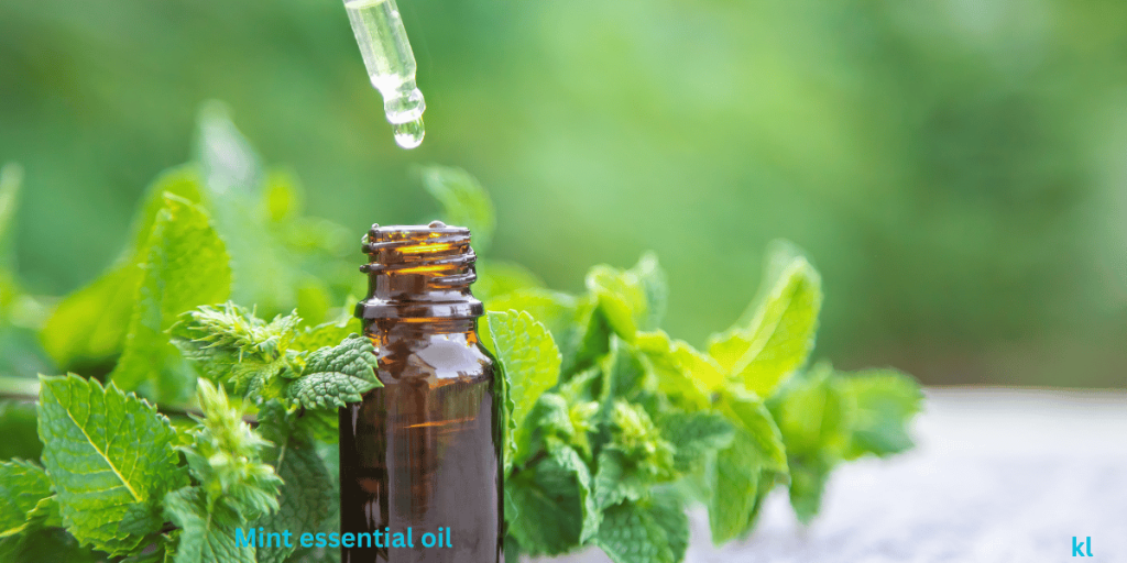 Top 7 Essential Oils for Labor, Birth, & Postpartum: Real Moms’ Favorites