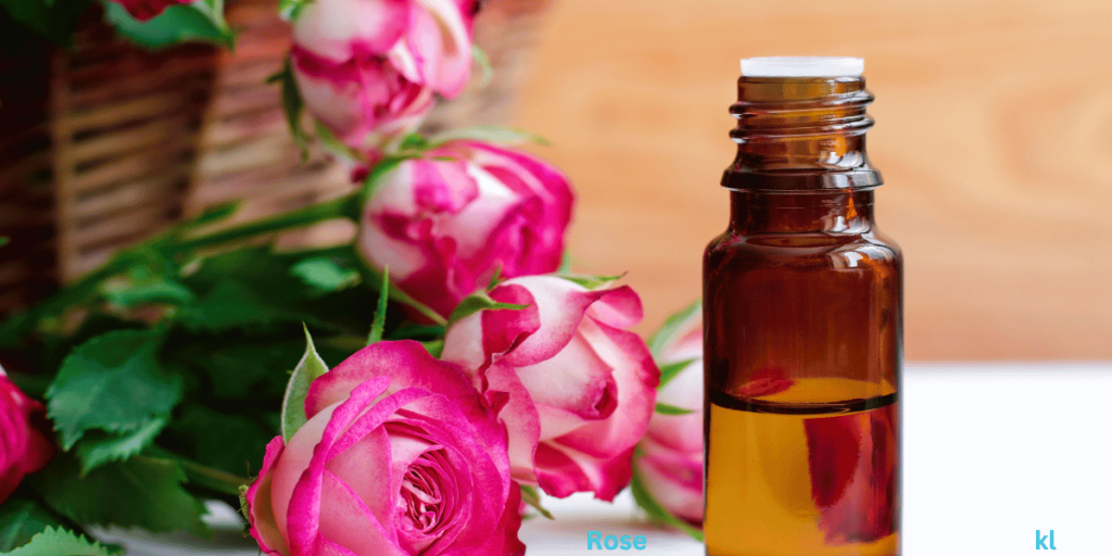 Top 7 Essential Oils for Labor, Birth, & Postpartum: Real Moms’ Favorites